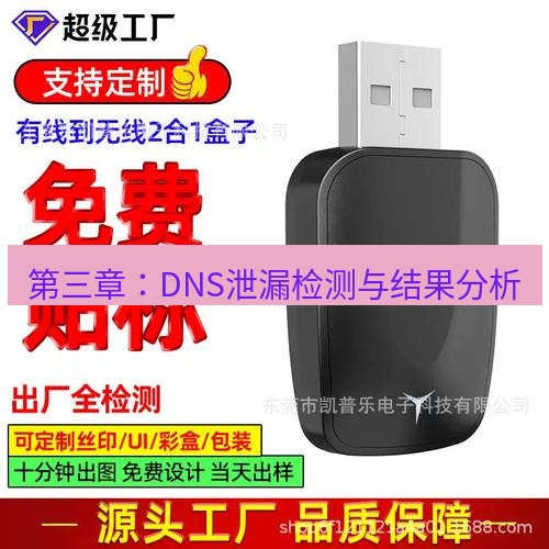 快连 第三章：DNS泄漏检测与结果分析