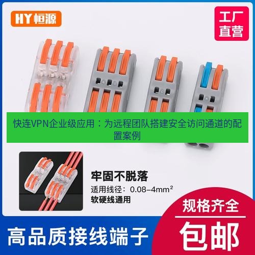 快连 快连VPN企业级应用：为远程团队搭建安全访问通道的配置案例