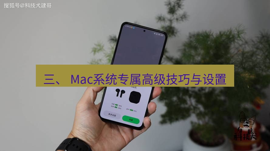 快连 三、 Mac系统专属高级技巧与设置