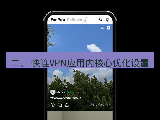快连 二、 快连VPN应用内核心优化设置
