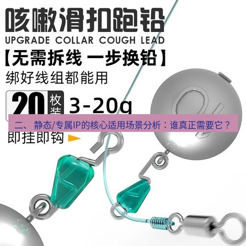 快连 二、 静态/专属IP的核心适用场景分析：谁真正需要它？
